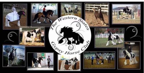 Western States Gypsy Horse Club